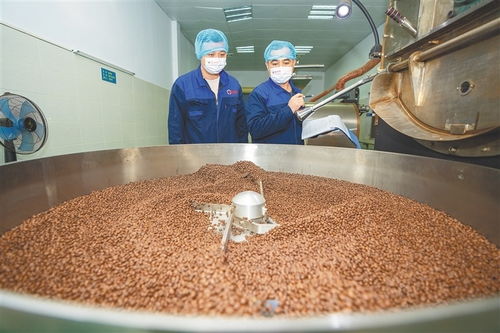 從田間到舌尖 海南農(nóng)墾發(fā)力精深加工，讓土特產(chǎn)鏈上“新食尚”